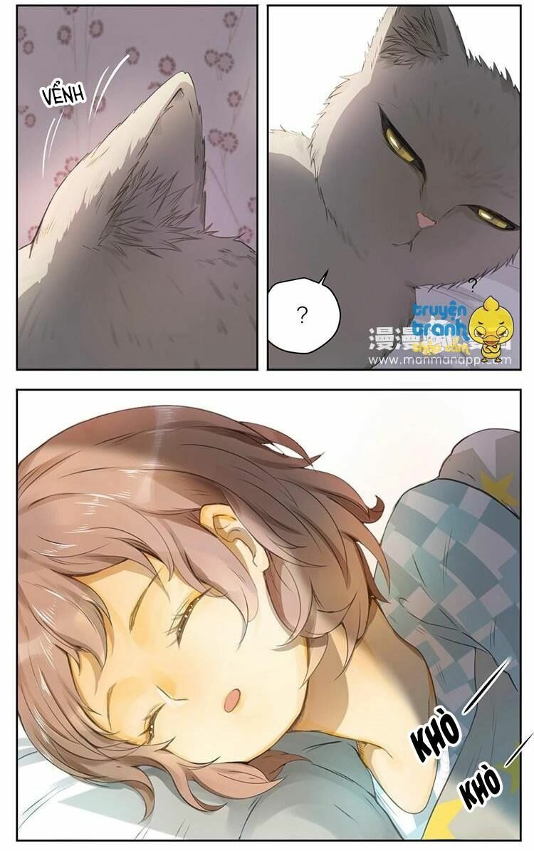 Cứu mạng ! Loài mèo thống trị thế giới rồi !: Chapter 26