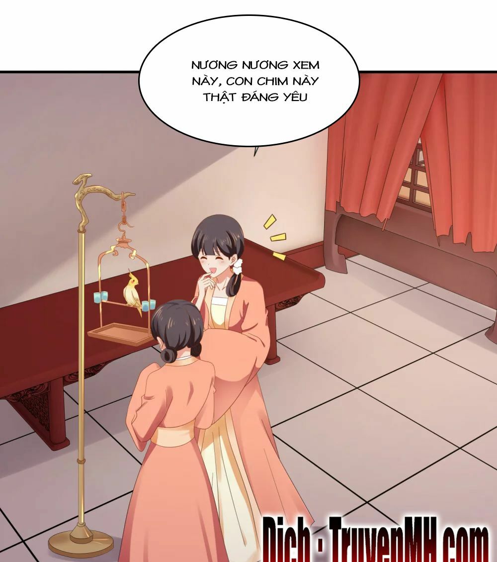 Lãnh Cung Phế Hậu Muốn Nghịch Thiên: Chapter 140