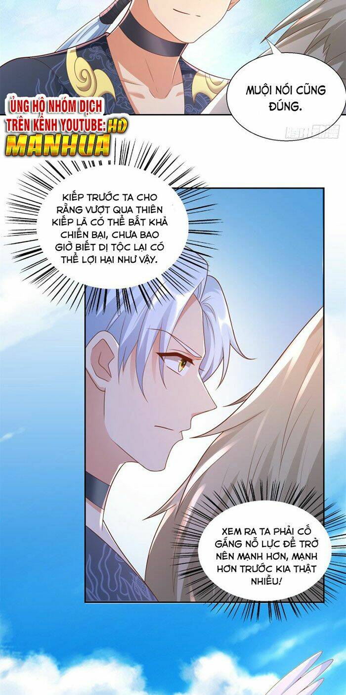 Chí Tôn Trọng Sinh: Chapter 140