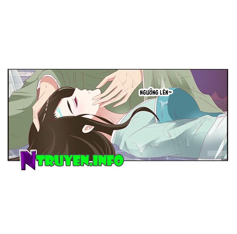Thông Linh Phi: Chapter 491