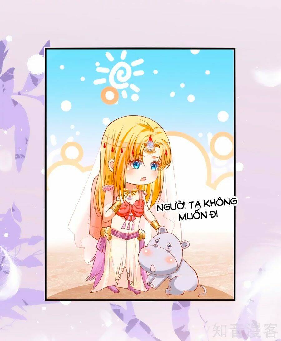 Sủng Hậu Của Vương: Chapter 42