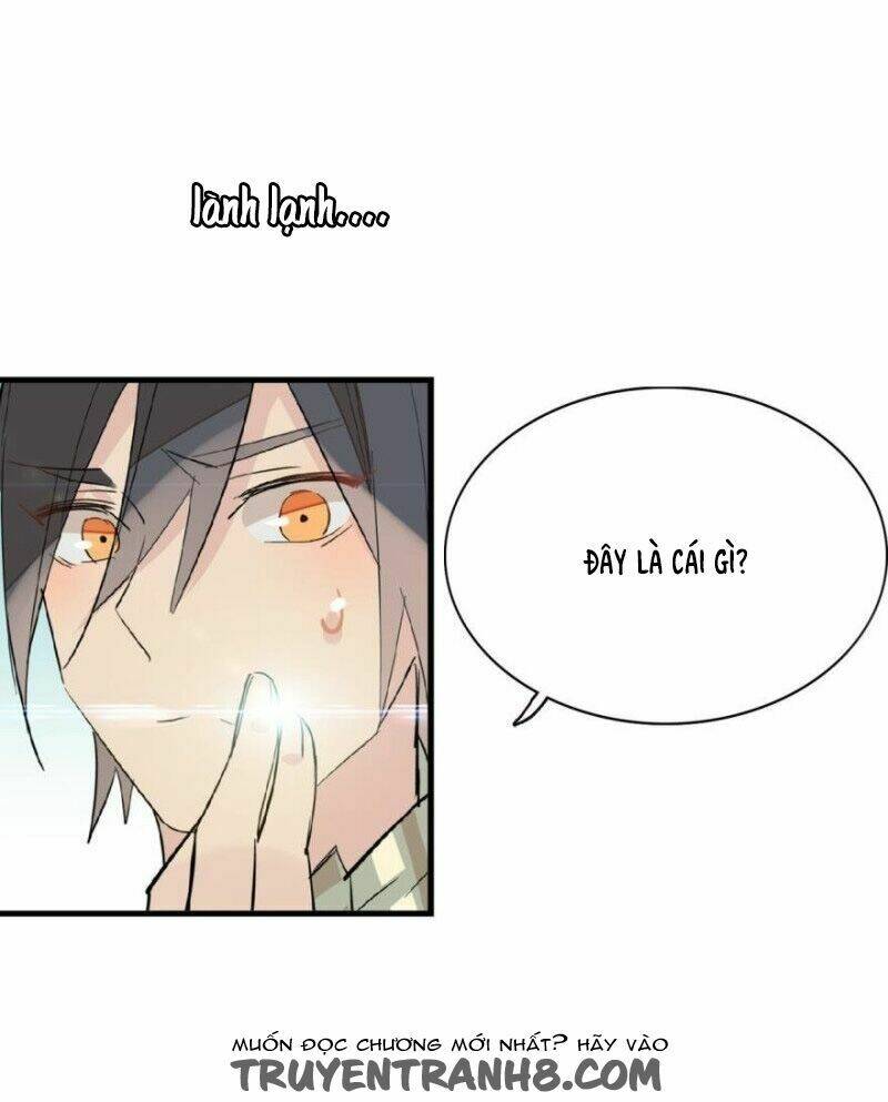 Sư Phụ Lại Trêu Chọc Ta: Chapter 15