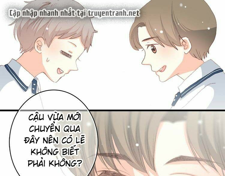 Con Tim Rung Động: Chapter 15
