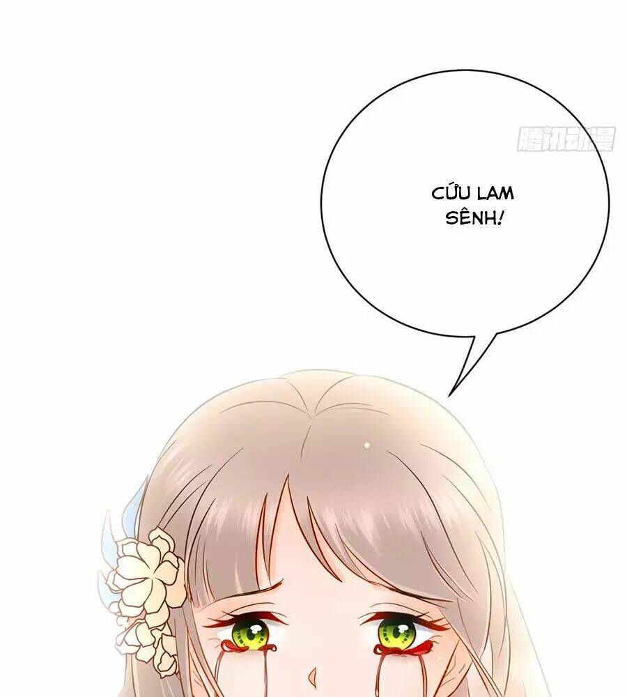 Vương Phi Thông Linh: Chapter 2