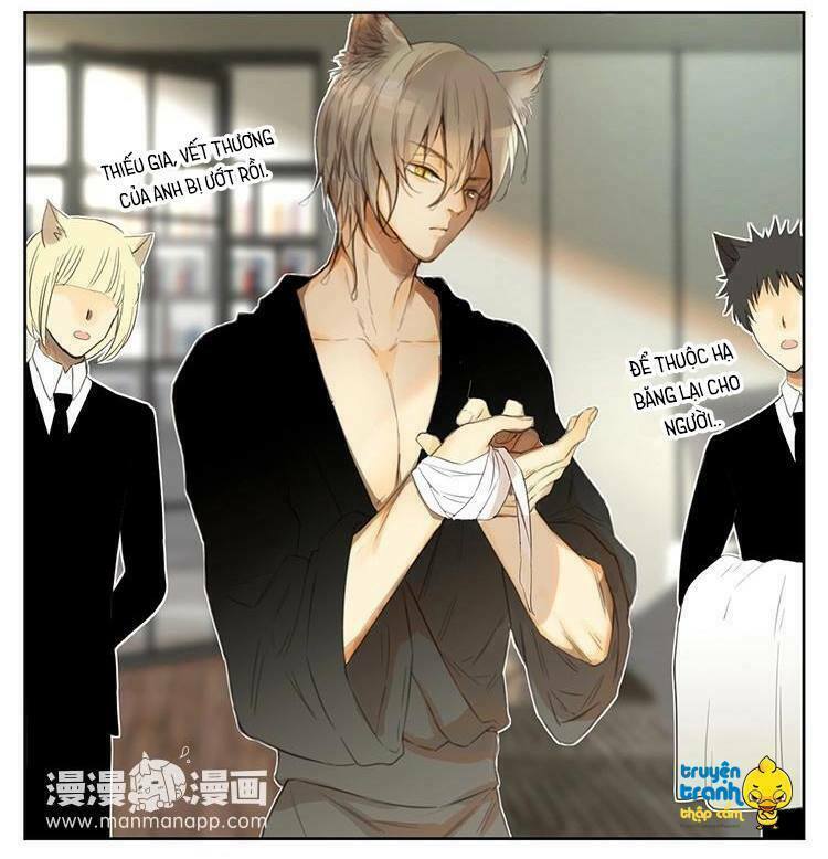 Cứu mạng ! Loài mèo thống trị thế giới rồi !: Chapter 30