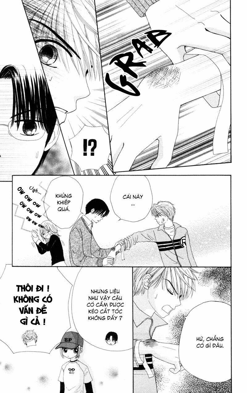 Dự Án Kéo Vàng: Chapter 12