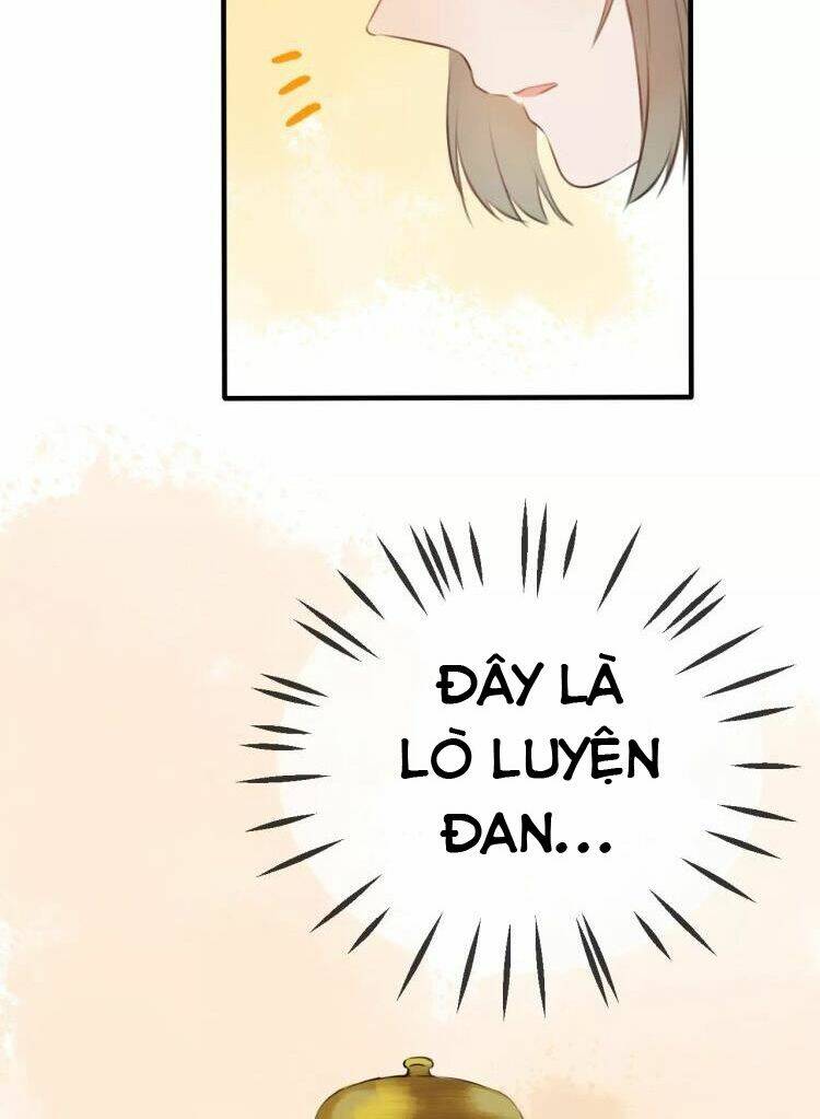 Bình Minh Của Ngũ Nguyệt: Chapter 17