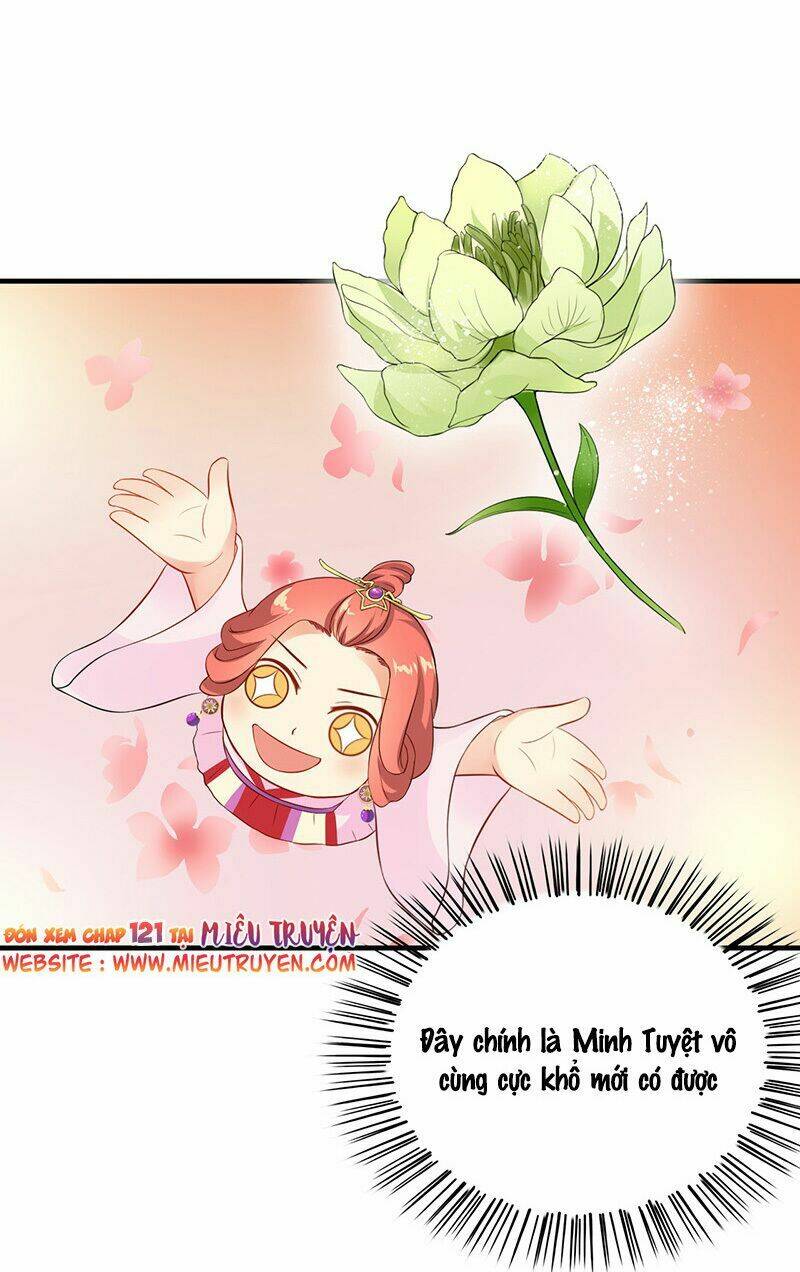 Tận Diệt Vương Gia Mãn Triều: Chapter 120