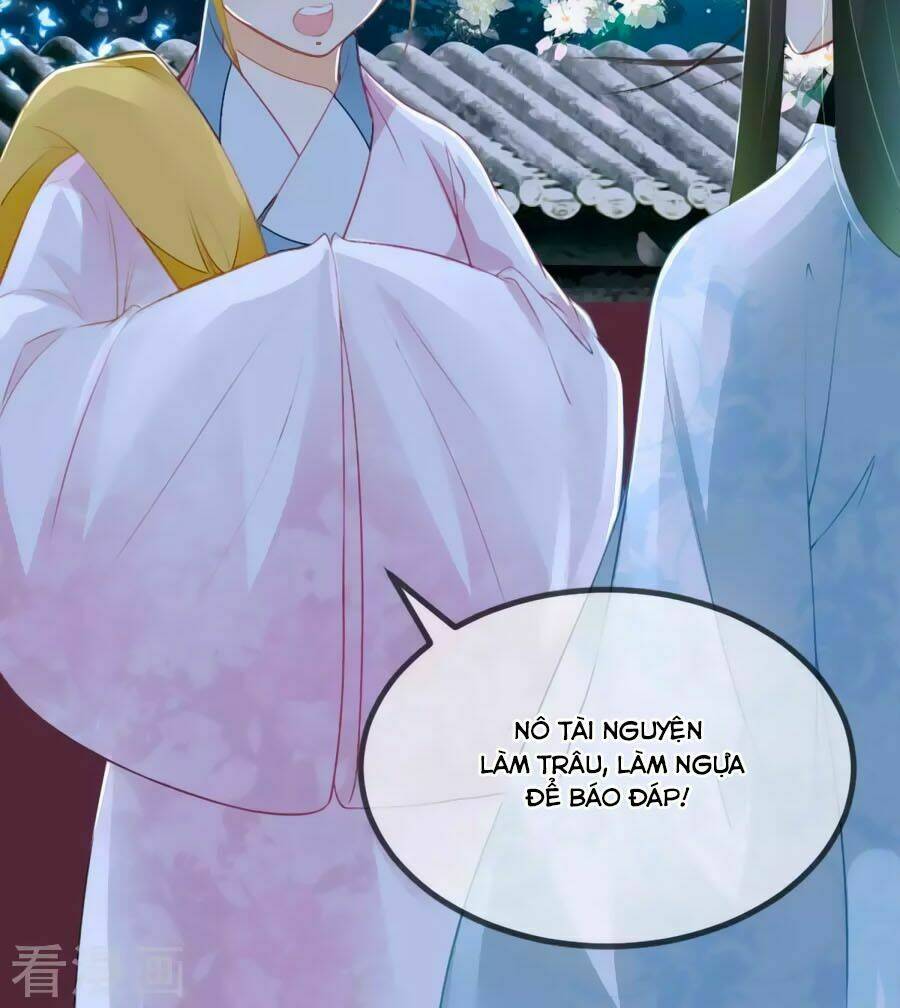 Trù Nương Hoàng Hậu: Chapter 7