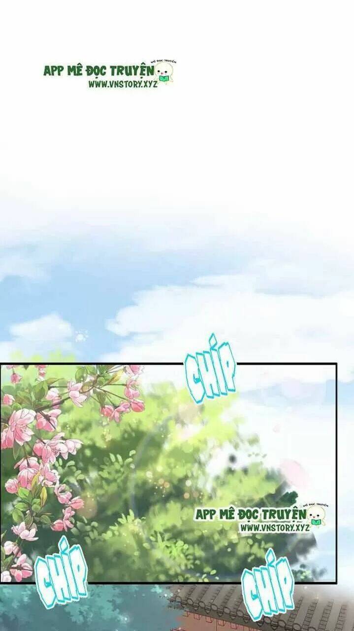 Nhất Sinh Nhất Thế Tiếu Thương Khung: Chapter 54