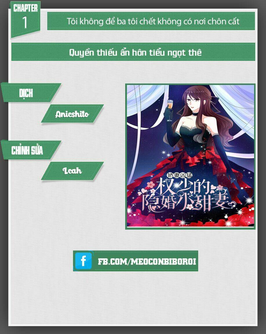 Quyền Thiếu Ẩn Hôn Tiểu Ngọt Thê: Chapter 1