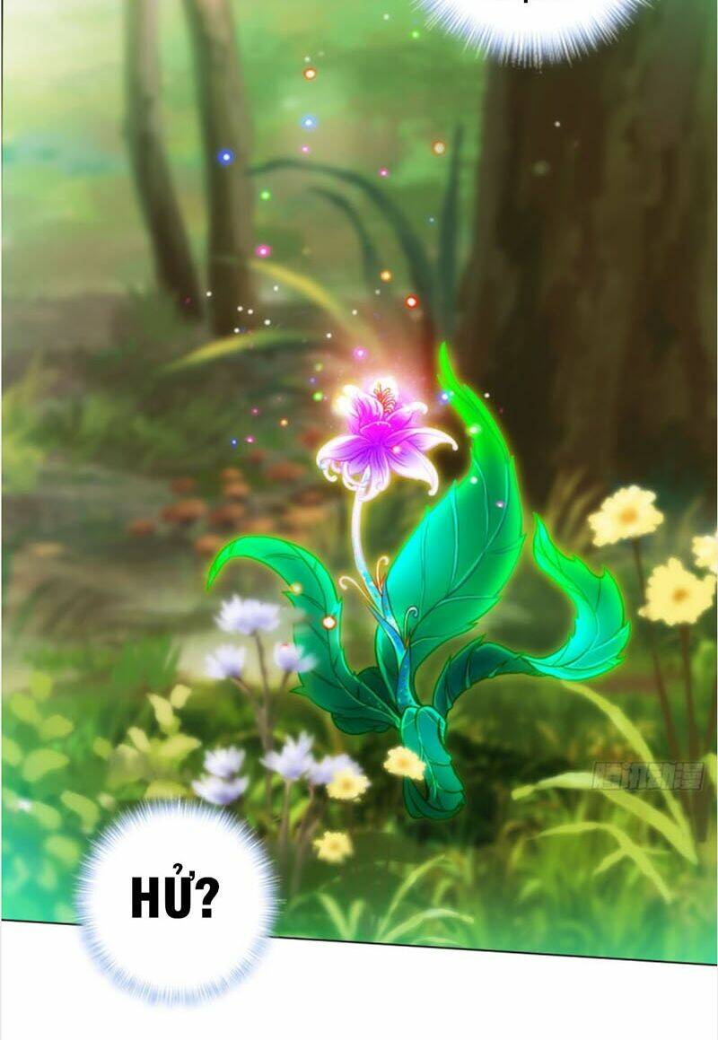 Bất Hủ Phàm Nhân: Chapter 29