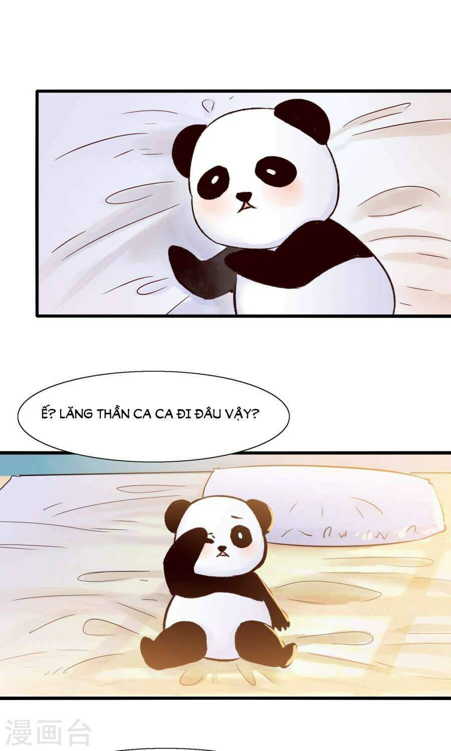 Tôi Bị Gấu Trúc Nhìn Trúng Rồi: Chapter 8