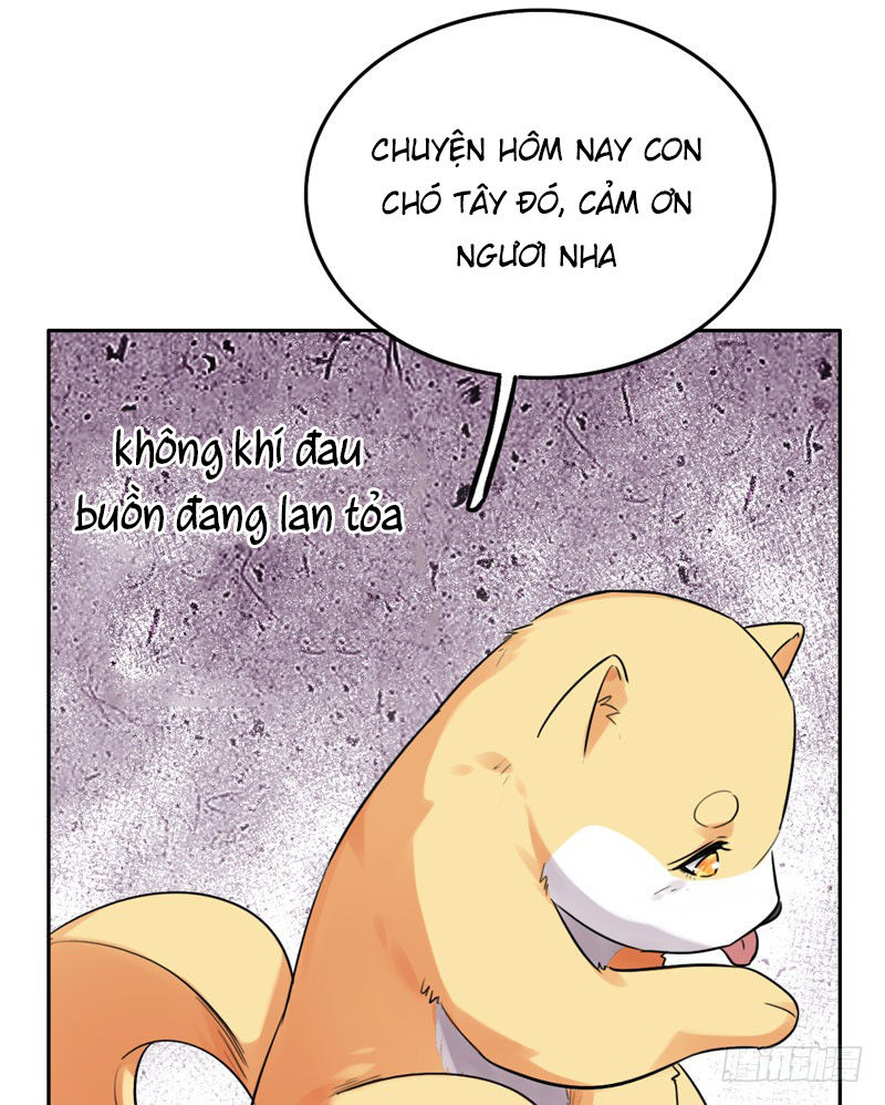 Lụ Đạn, Hôm Nay Lại Cũng Không Thể Biến Thành Người Được: Chapter 3