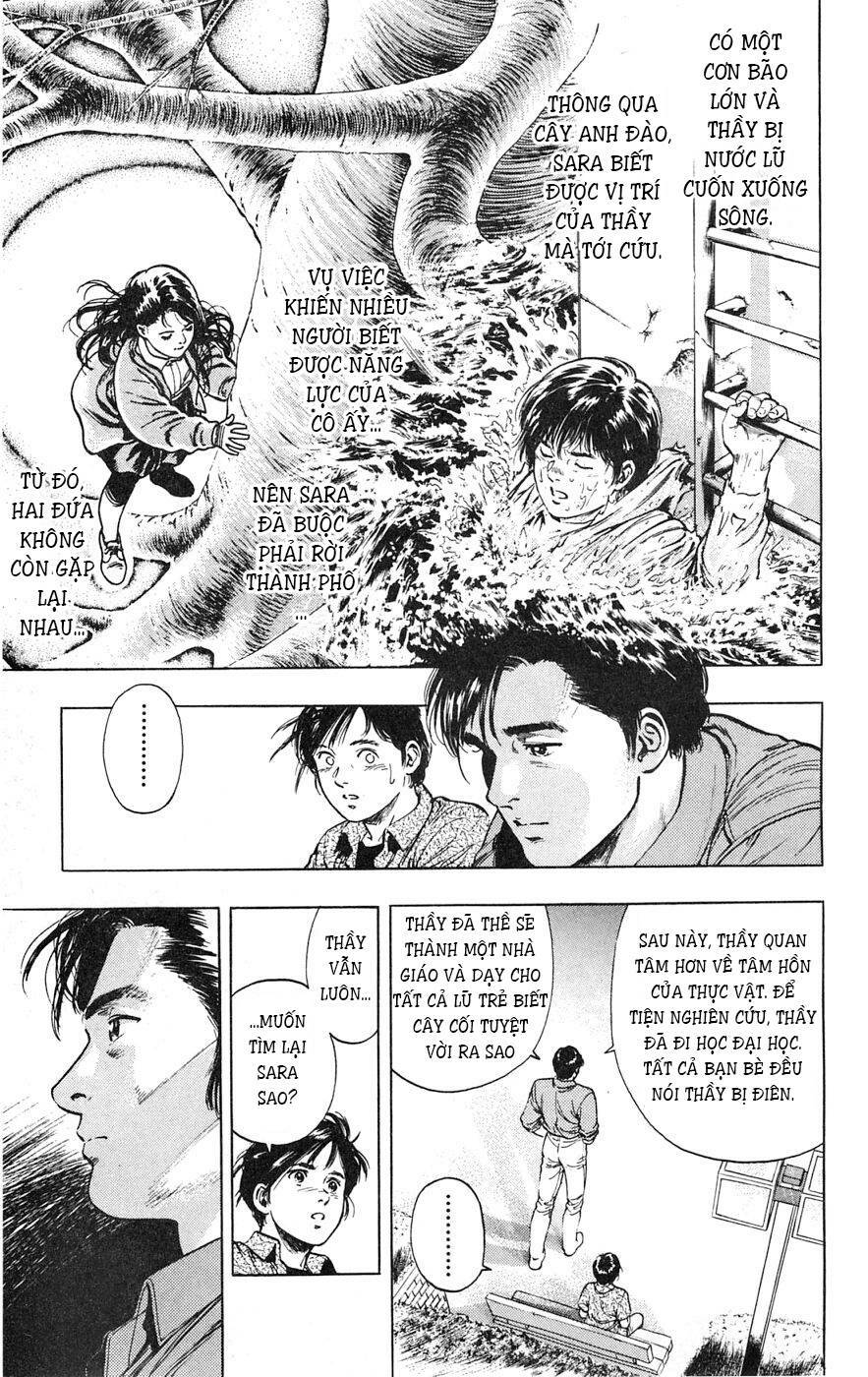 Cô Bé Mặt Trời: Chapter 12