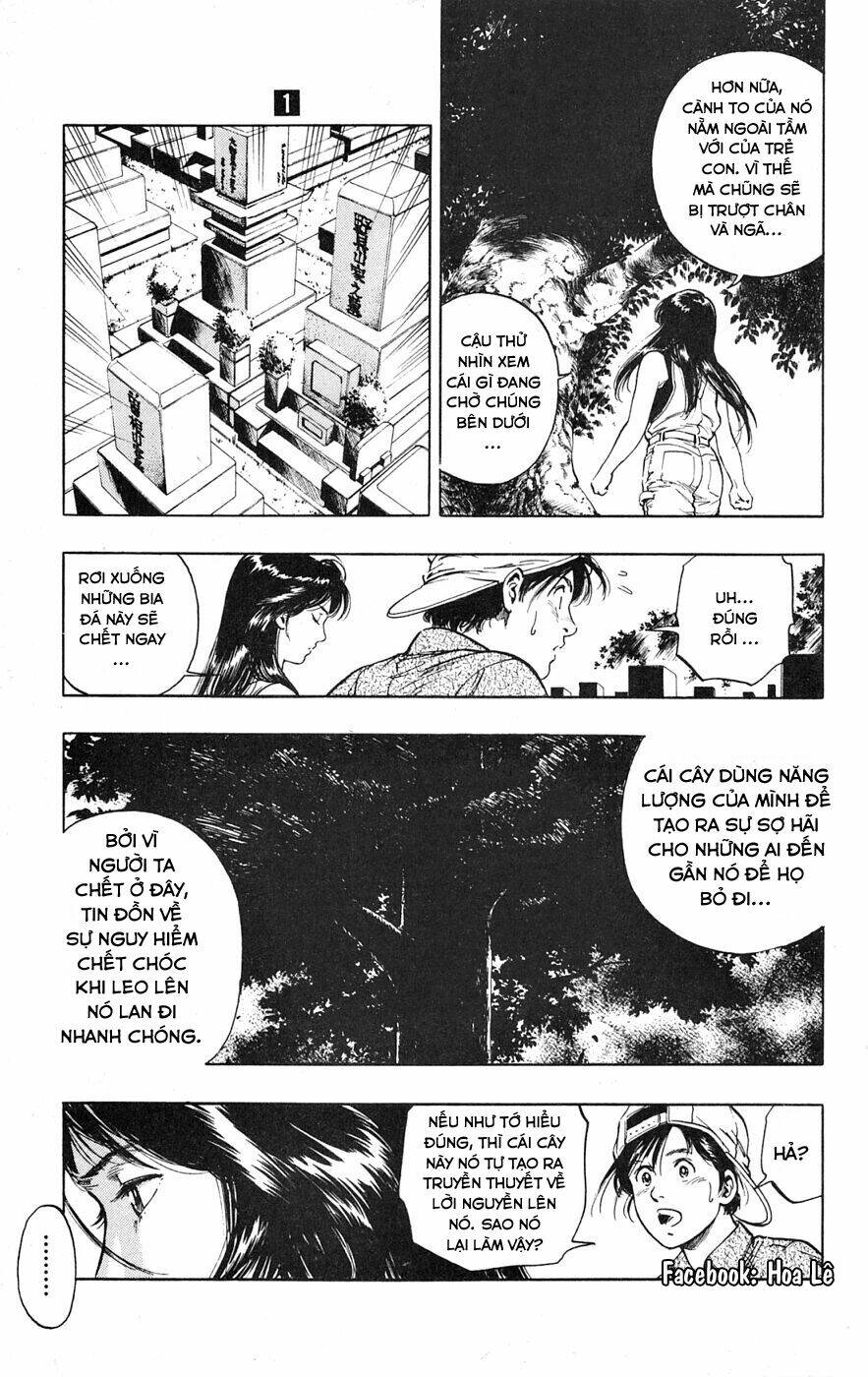 Cô Bé Mặt Trời: Chapter 6