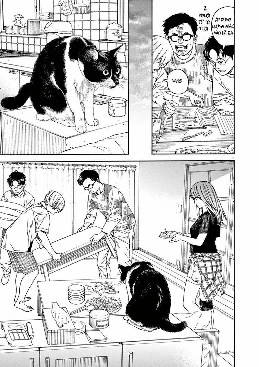 Neko No Otera No Chion-San: Chapter 20