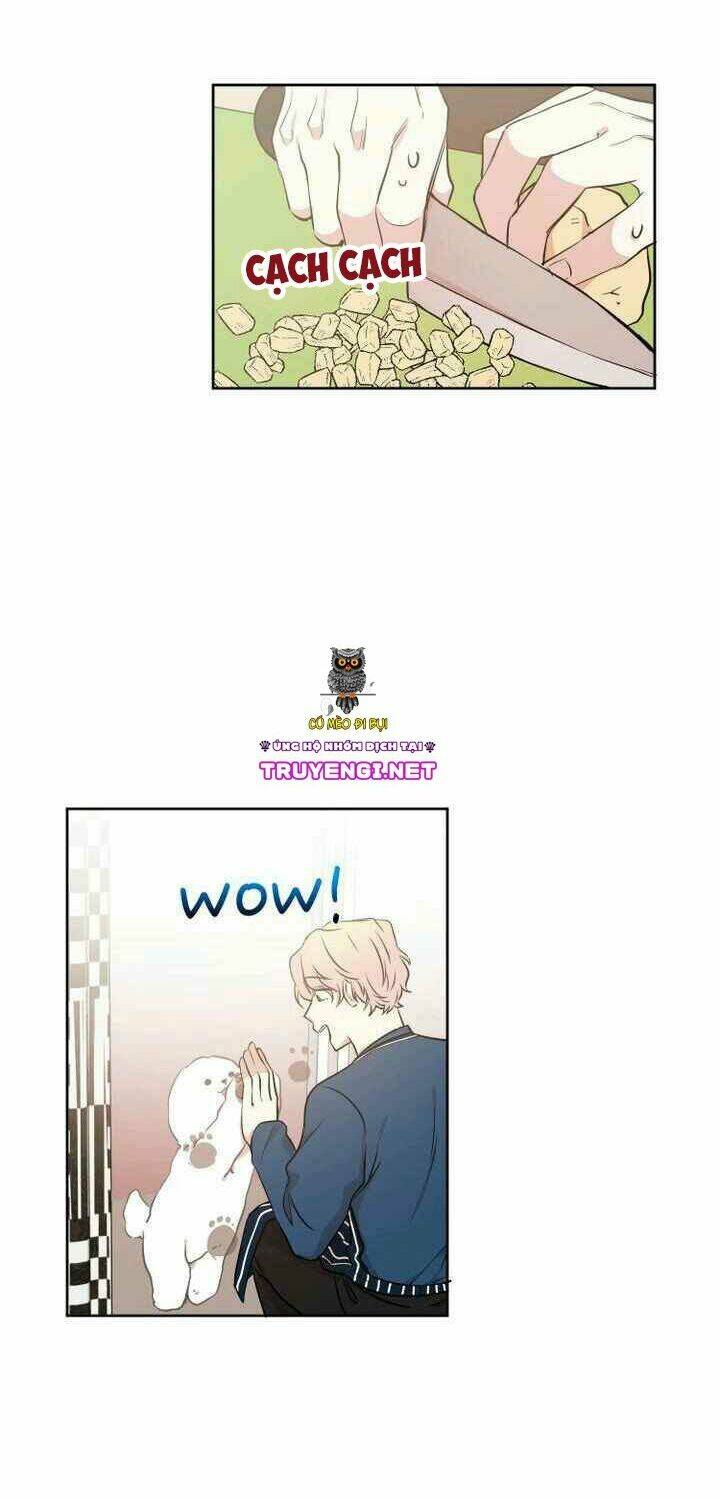 Idol Sống Trong Nhà Tôi !: Chapter 7