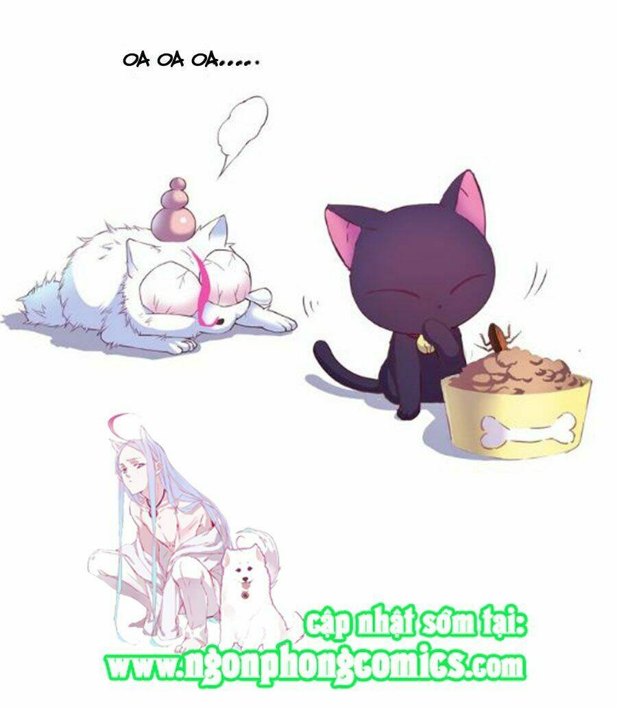 Đừng Nghịch, Ta Chỉ Muốn Yên Tĩnh: Chapter 4