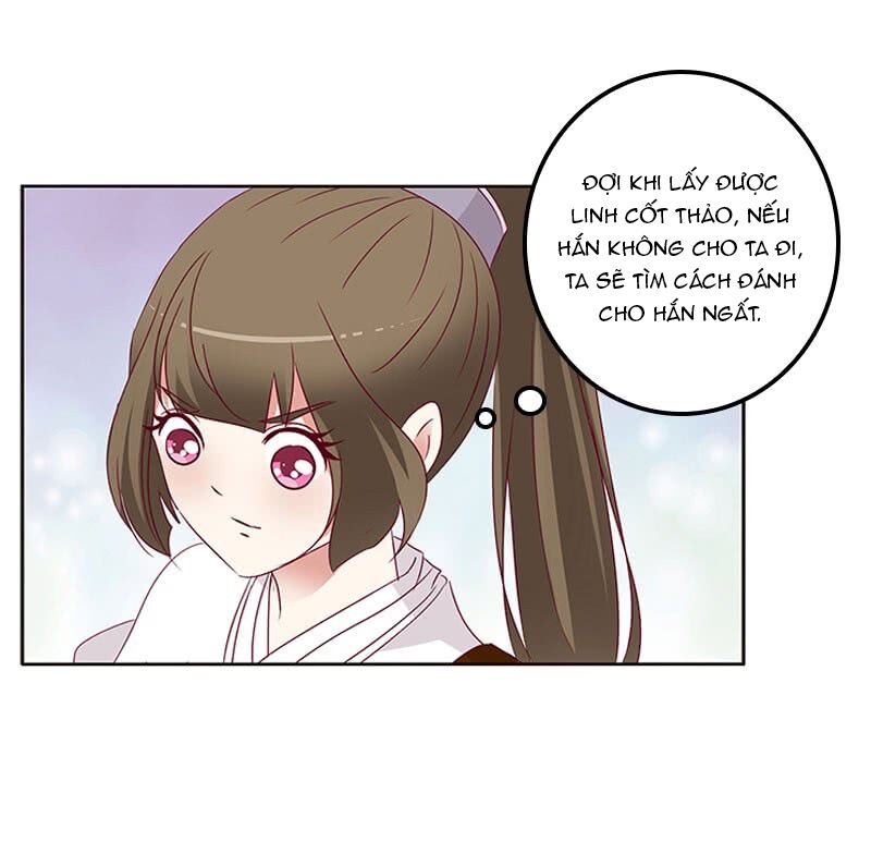 Thông Linh Phi: Chapter 275