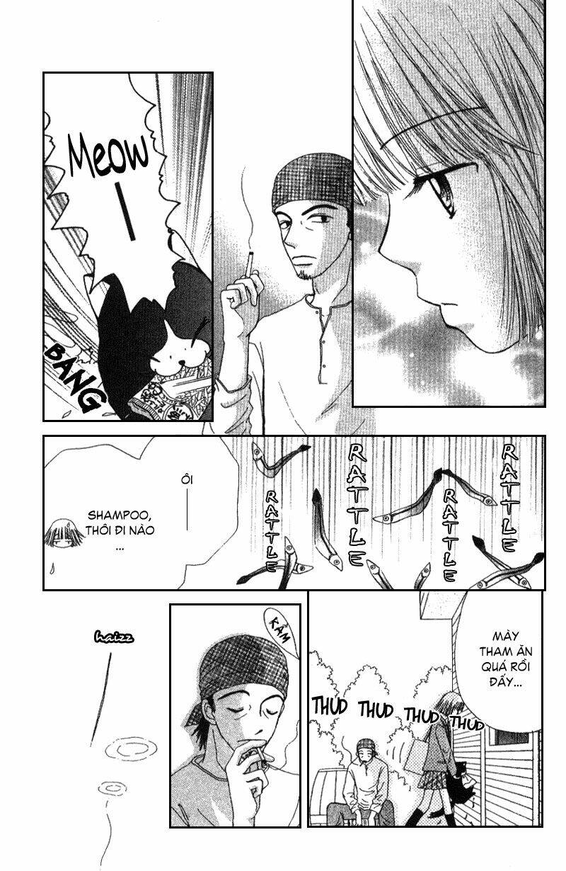 Dự Án Kéo Vàng: Chapter 4