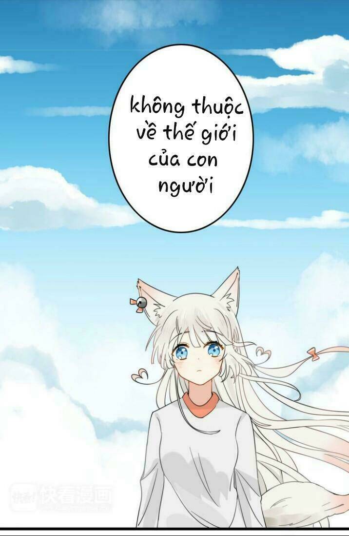 Thú Sủng Của Tôi Bị Mất Trí Rồi: Chapter 2