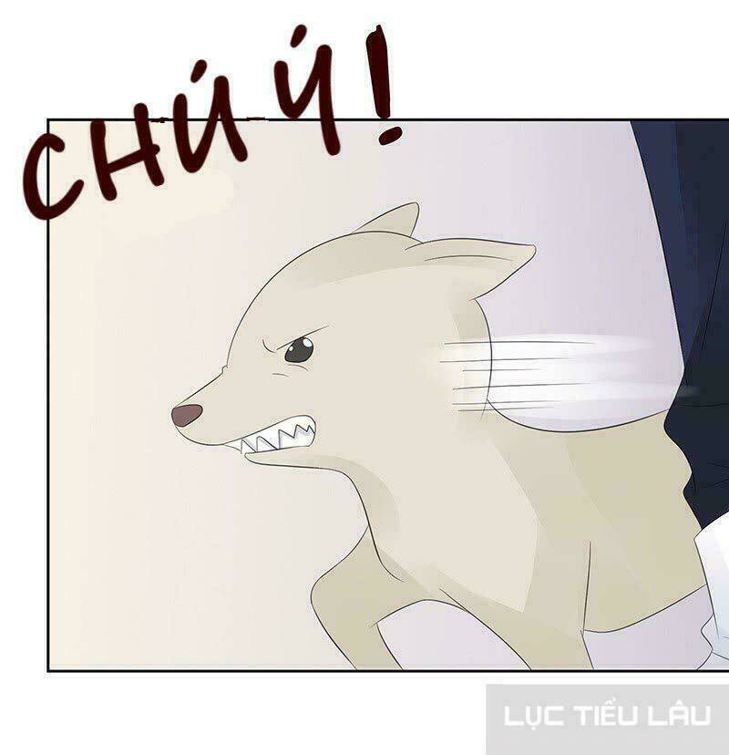 Băng Sơn Học Trưởng Không Được Chọc: Chapter 12