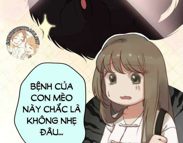 Viện Bảo Tàng Tâm Nguyện: Chapter 2.1