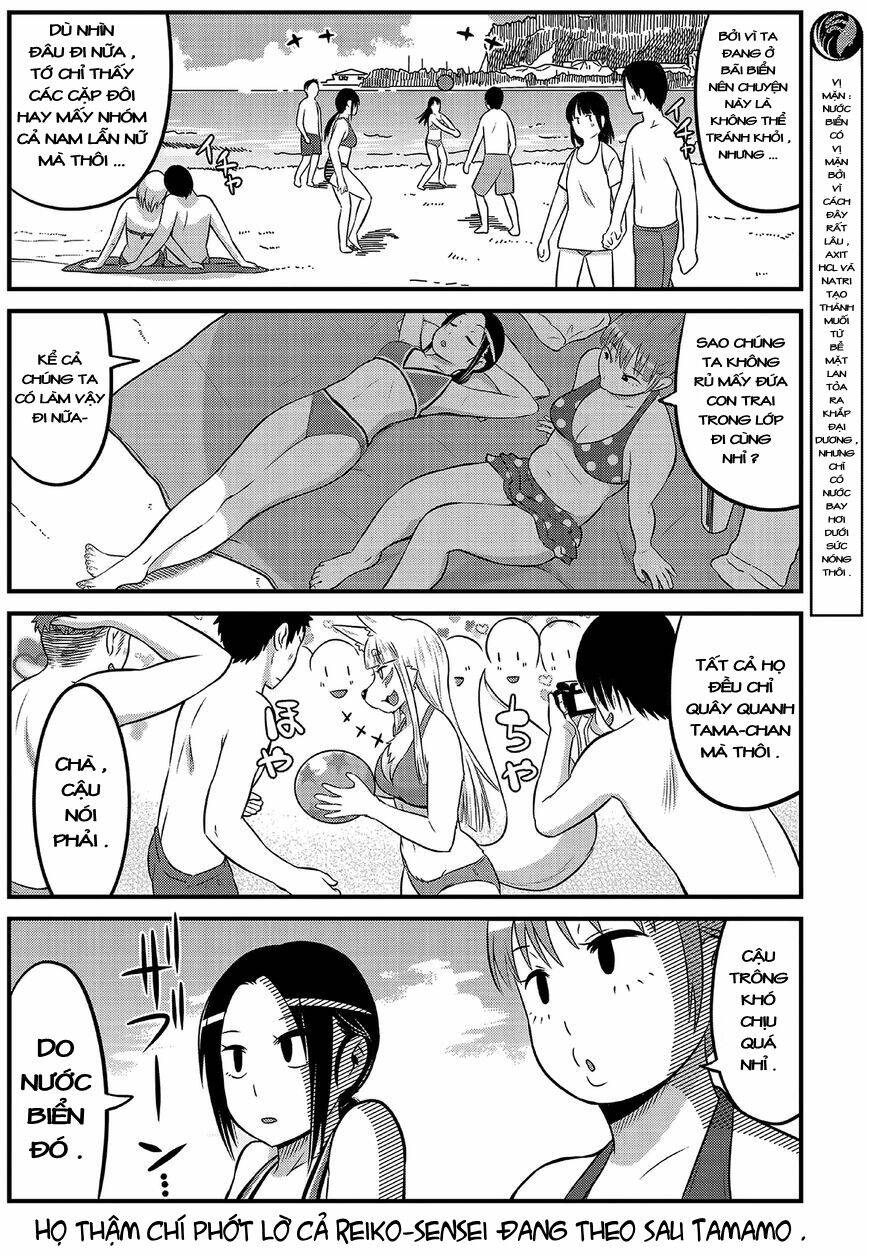 High School Inari Tamamo-Chan: Chapter 14