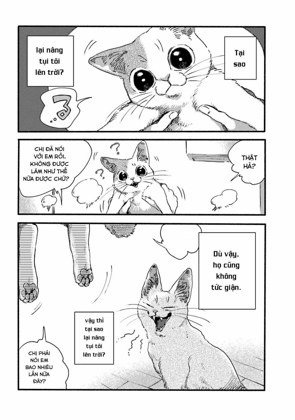 Nekodamari: Chapter 3