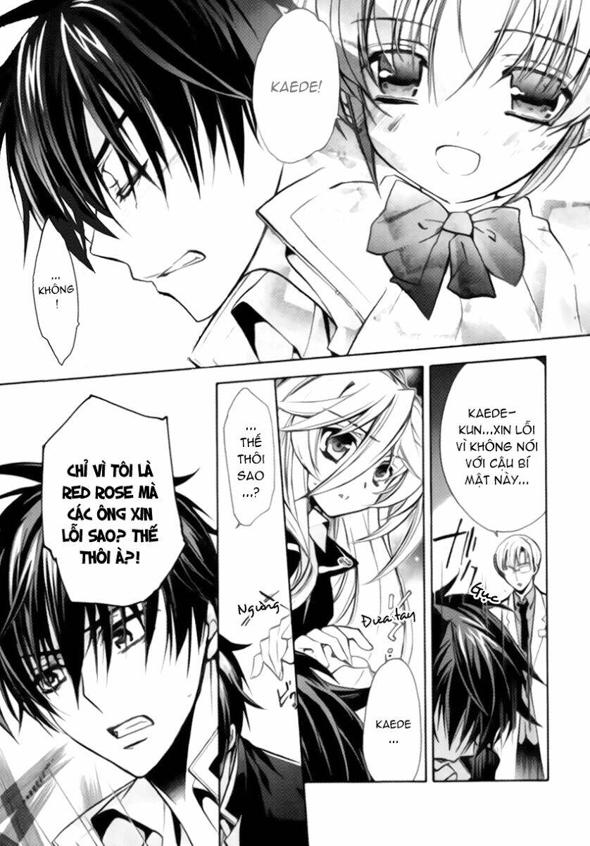 Nụ Hôn Của Công Chúa Tường Vi: Chapter 10