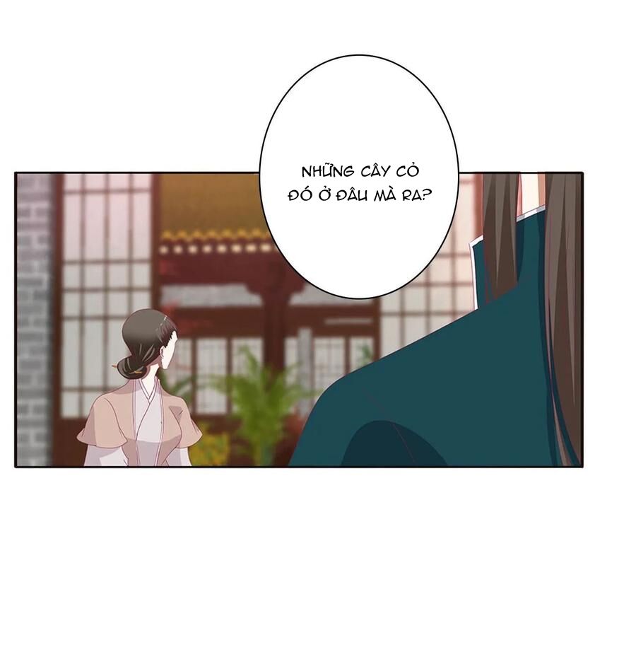 Thông Linh Phi: Chapter 621
