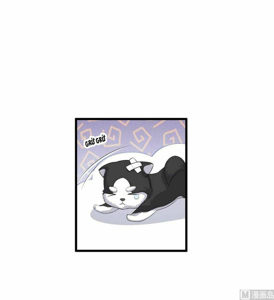 Tư Sủng Cục Cưng Bảo Bối: Chapter 28