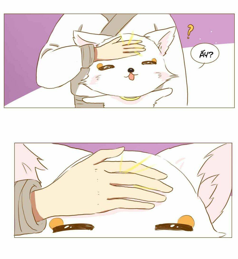 Mẫu Phi Đuôi Của Người Lộ Ra Rồi Kìa: Chapter 51