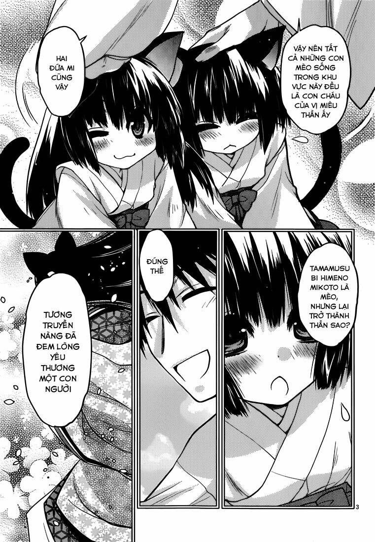 Tamanyan: Chapter 5