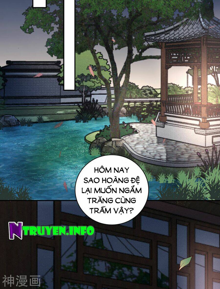 Hoàng Phi 9000 Tuổi: Chapter 66