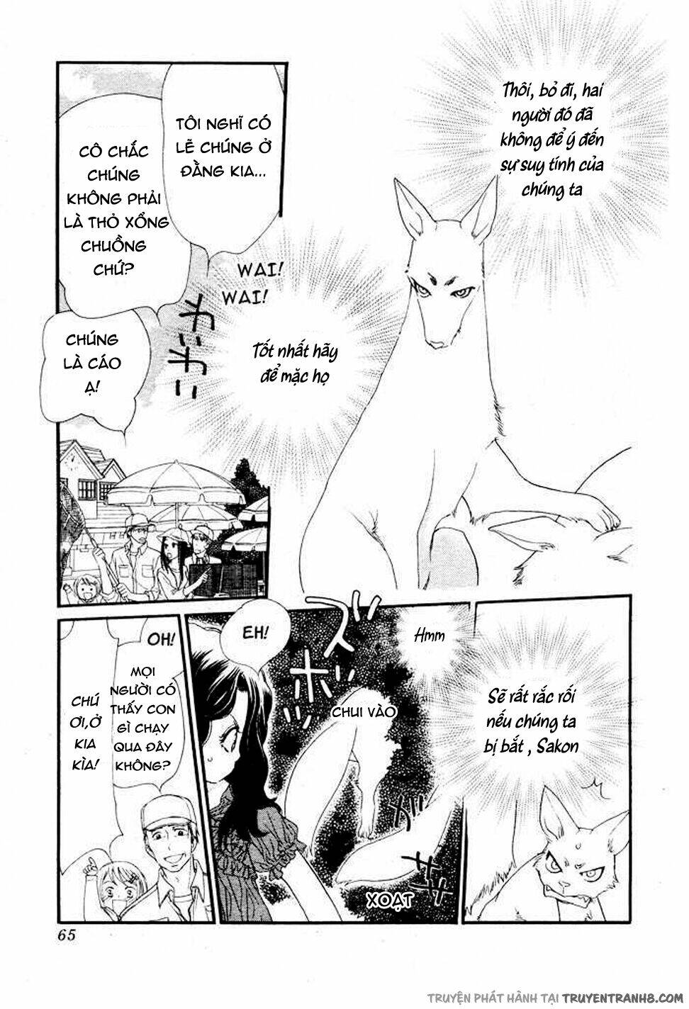 Orange Chocolate: Chapter 8