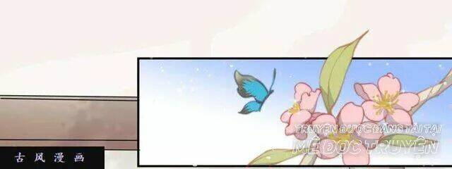 Tuyệt Thế Luyện Đan Sư: Chapter 24