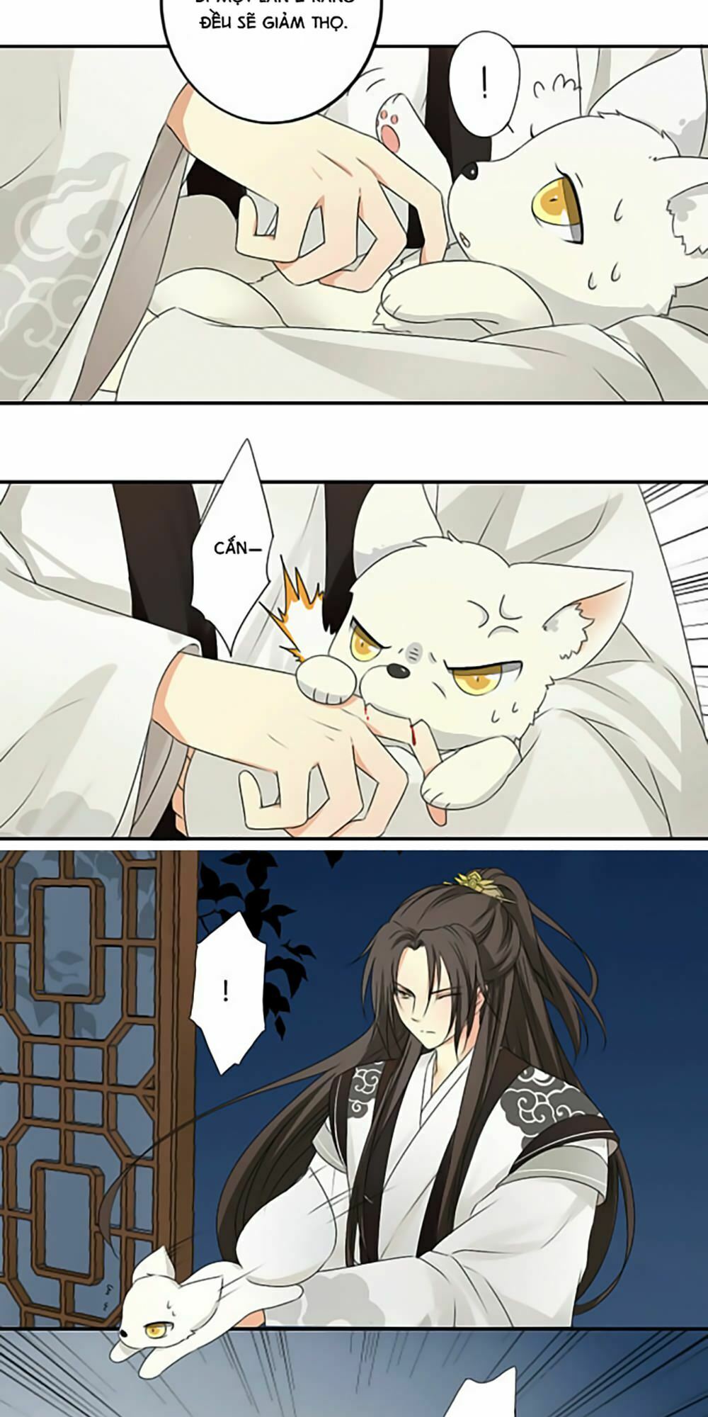 Quy Tự Dao: Chapter 5