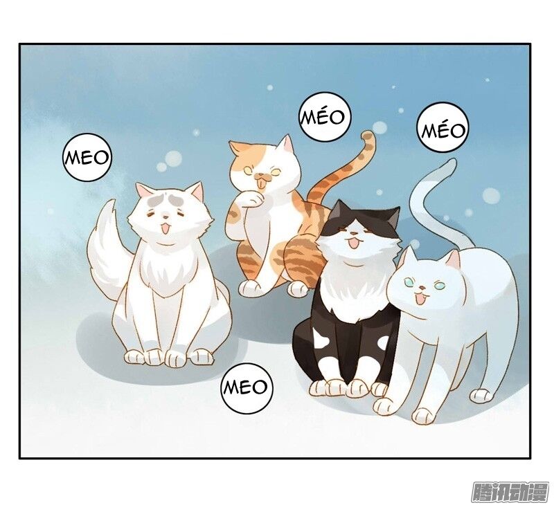 Sức Mạnh Của Sắc Đẹp: Chapter 65