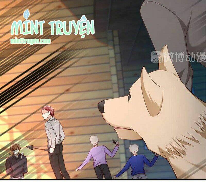 Nam Thần Truy Thê Chỉ Nam: Chapter 107.2