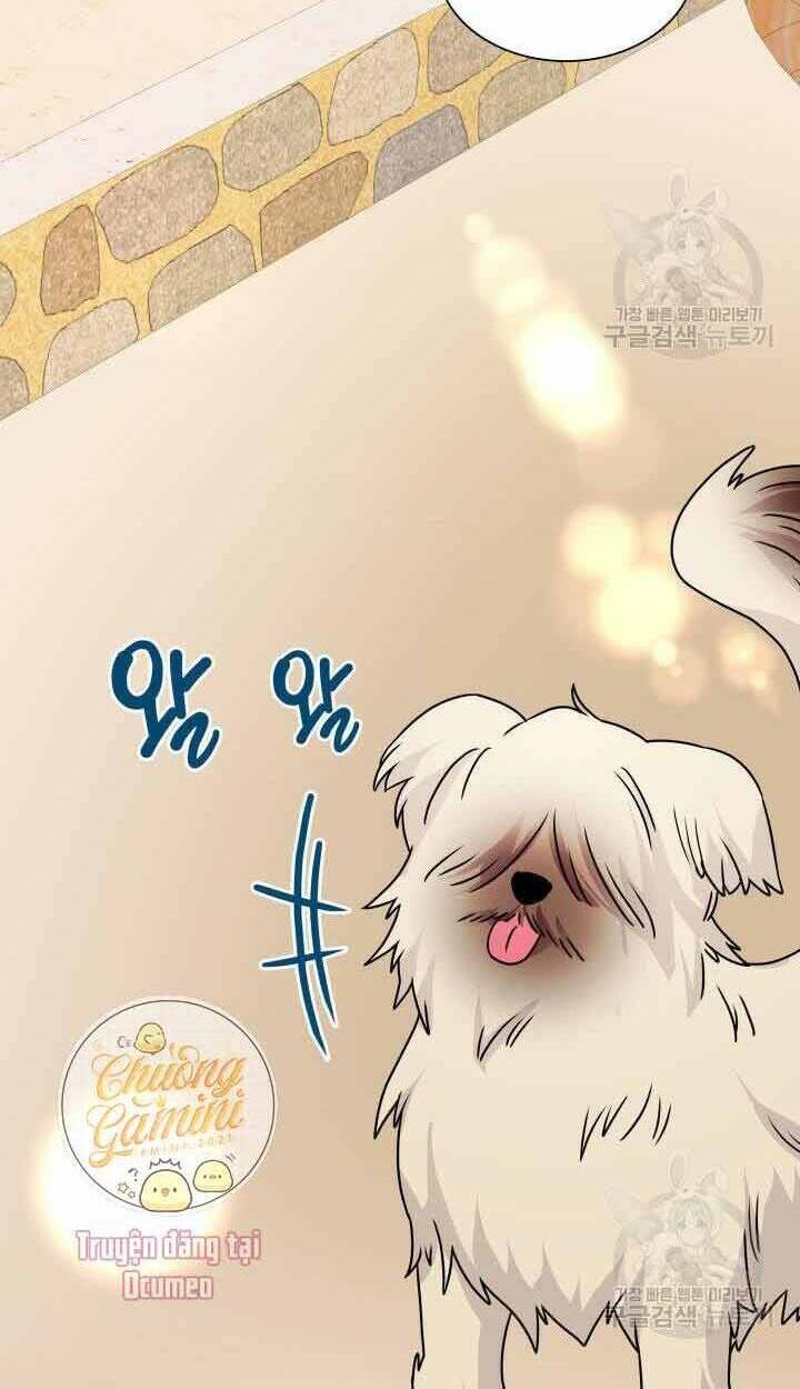 Cô Dâu Của Sói Đen: Chapter 6