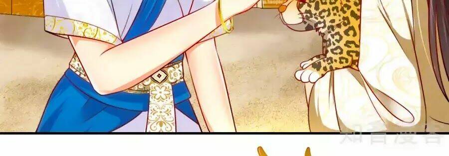 Sủng Hậu Của Vương: Chapter 4