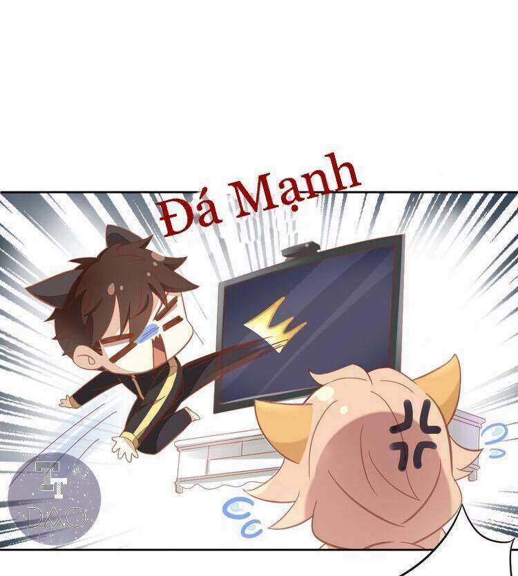 Dưới Móng Vuốt Mèo: Chapter 4