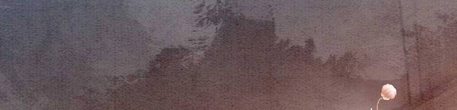 Bắt Đầu Hủy Hôn Để Công Lược Vương Gia: Chapter 2