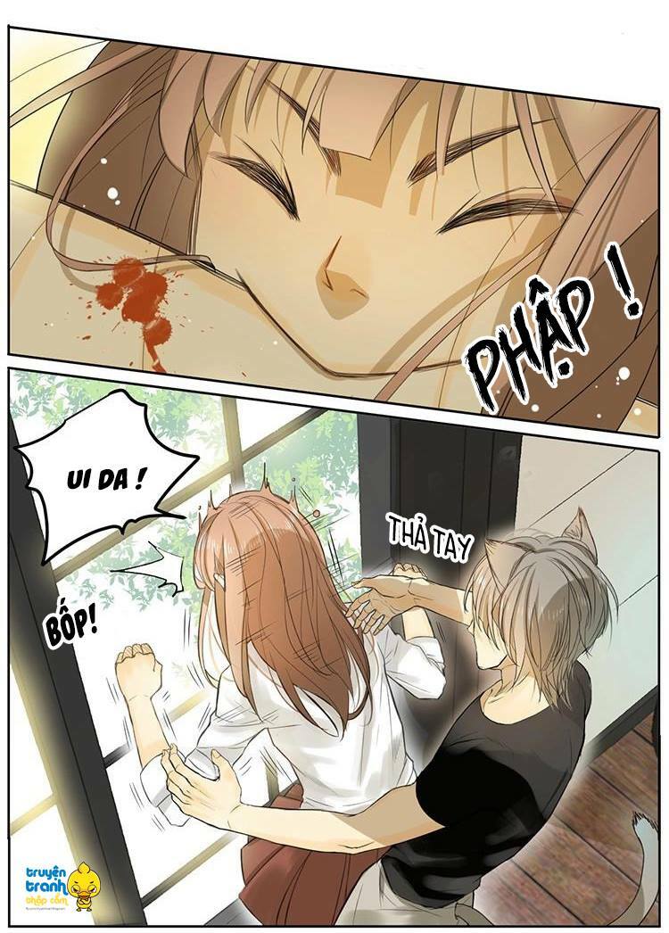 Cứu mạng ! Loài mèo thống trị thế giới rồi !: Chapter 4