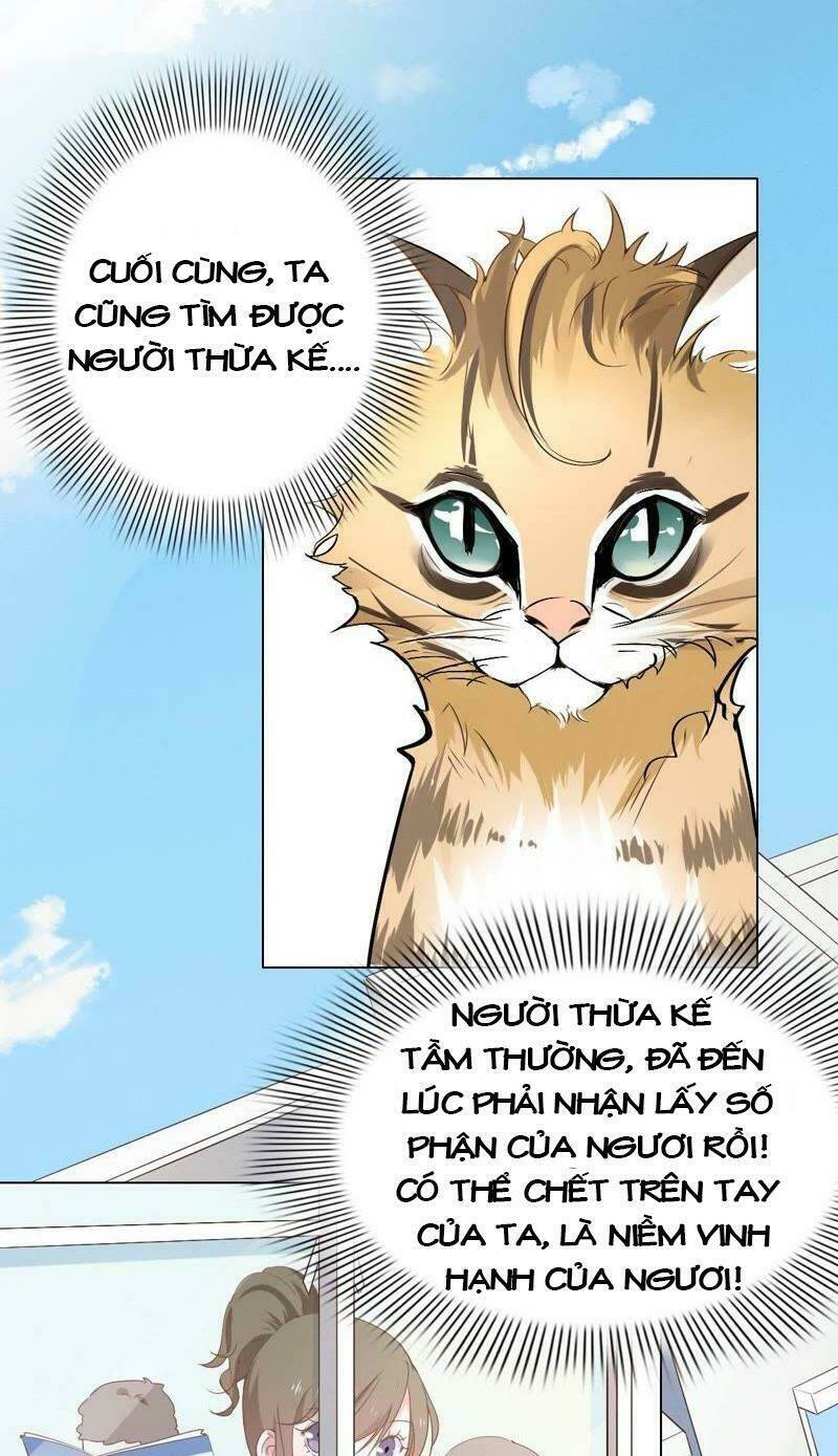 Thập Nhị Hắc Miêu: Chapter 1