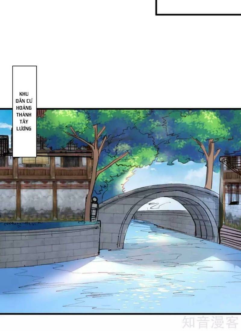 Tối Cường Đại Biểu Hoàng Kim Thận: Chapter 95