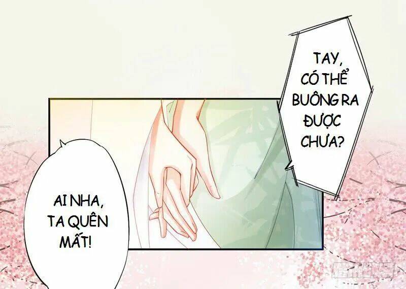 Tuyệt Thế Luyện Đan Sư: Chapter 13