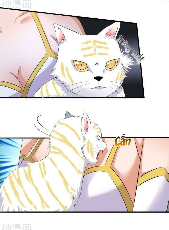 Cuồng Phi Phách Lối: Chapter 72